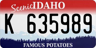 ID license plate K635989