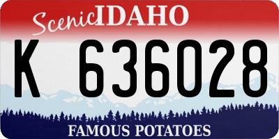 ID license plate K636028