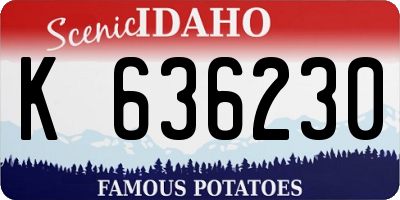 ID license plate K636230