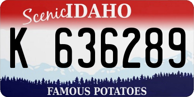 ID license plate K636289