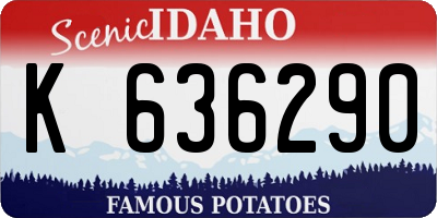 ID license plate K636290