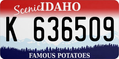 ID license plate K636509