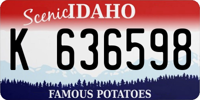 ID license plate K636598