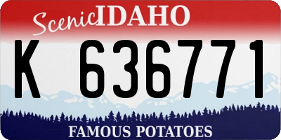 ID license plate K636771