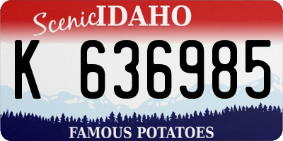 ID license plate K636985