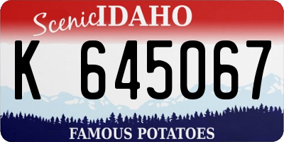 ID license plate K645067