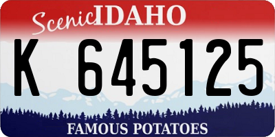 ID license plate K645125