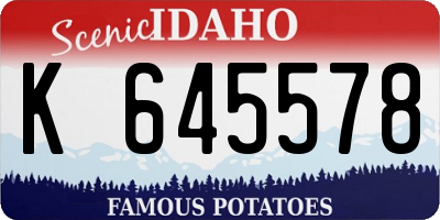 ID license plate K645578