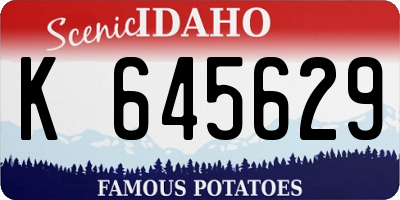 ID license plate K645629