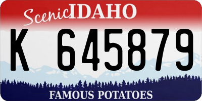 ID license plate K645879