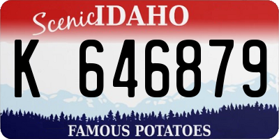 ID license plate K646879