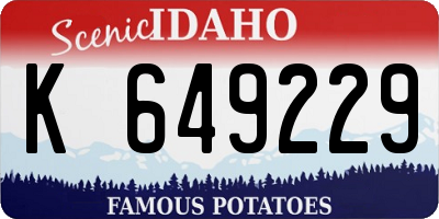 ID license plate K649229