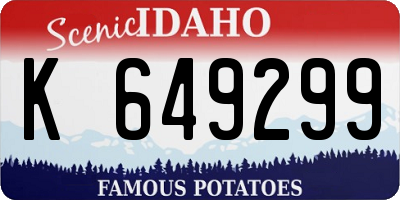 ID license plate K649299