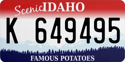 ID license plate K649495
