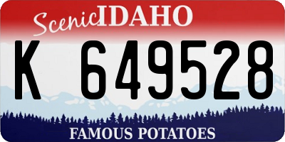 ID license plate K649528