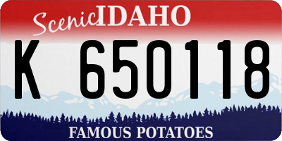 ID license plate K650118
