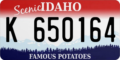 ID license plate K650164