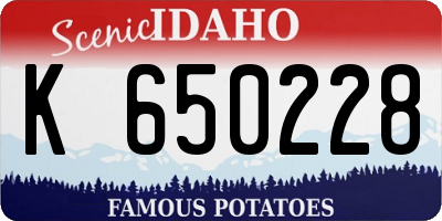ID license plate K650228