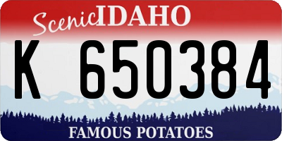 ID license plate K650384