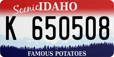 ID license plate K650508