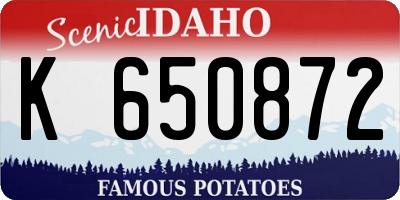 ID license plate K650872