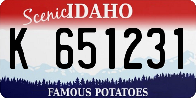 ID license plate K651231