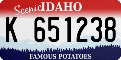 ID license plate K651238