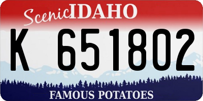 ID license plate K651802
