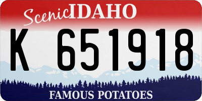 ID license plate K651918