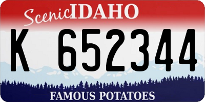 ID license plate K652344