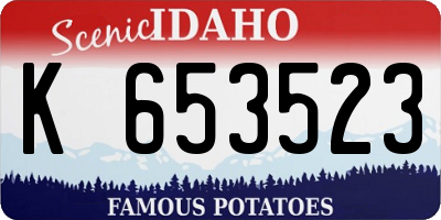 ID license plate K653523