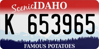 ID license plate K653965