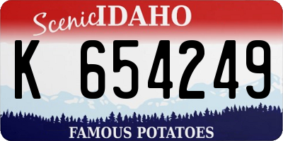 ID license plate K654249