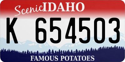 ID license plate K654503