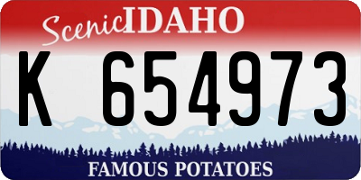 ID license plate K654973