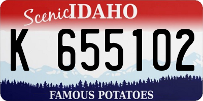 ID license plate K655102