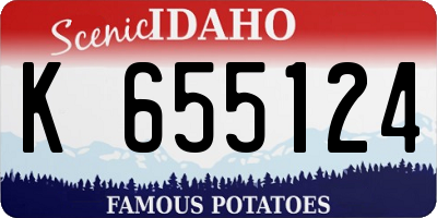 ID license plate K655124
