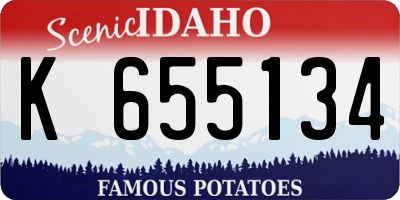 ID license plate K655134