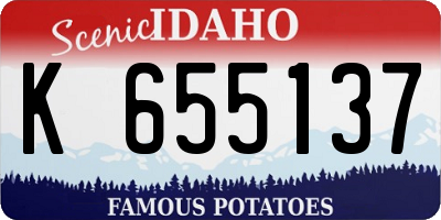 ID license plate K655137