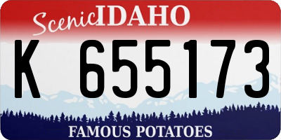 ID license plate K655173