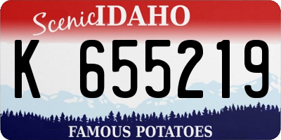 ID license plate K655219