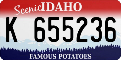 ID license plate K655236