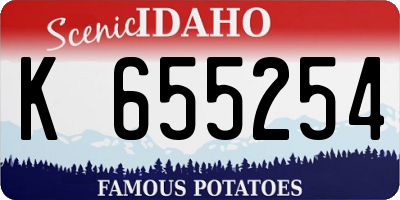 ID license plate K655254