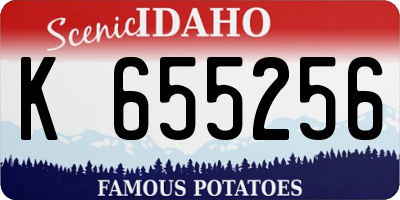 ID license plate K655256