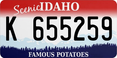 ID license plate K655259