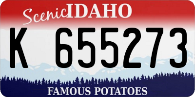ID license plate K655273
