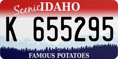 ID license plate K655295