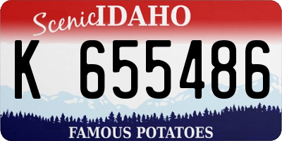 ID license plate K655486