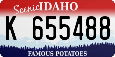 ID license plate K655488