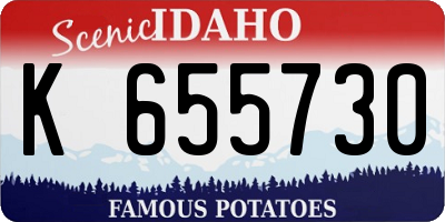 ID license plate K655730